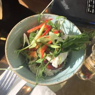 17496056_10158639865385647_685004143_n